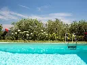 csm_Swimming_pool_RENOLIT_ALKORPLAN2000_Sand__3__ac2409543c.webp