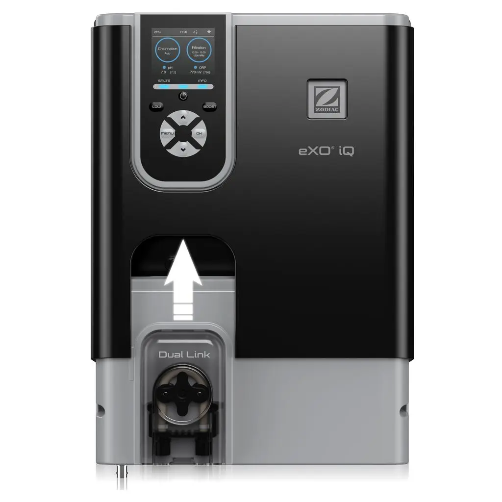 exoiq (3).webp