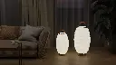 Synergy_S65_and_S50_night_1500x1500.webp