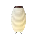 kooduu_synergy_65_back_on (1).webp