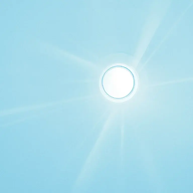 detNINFEAfaroLed02-768x768.webp