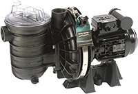 La STA-RITE Pompe de 1 Cv Mono 16,5 m3/h - Eau salée