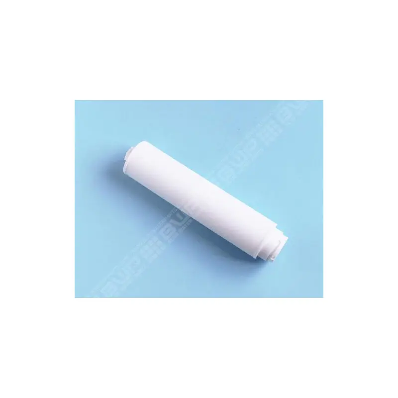 [R302404CP] PENTAIR Crépine Filtre SAB Tagelus, Triton et Poseidon ClearPro 60 - à l'unité