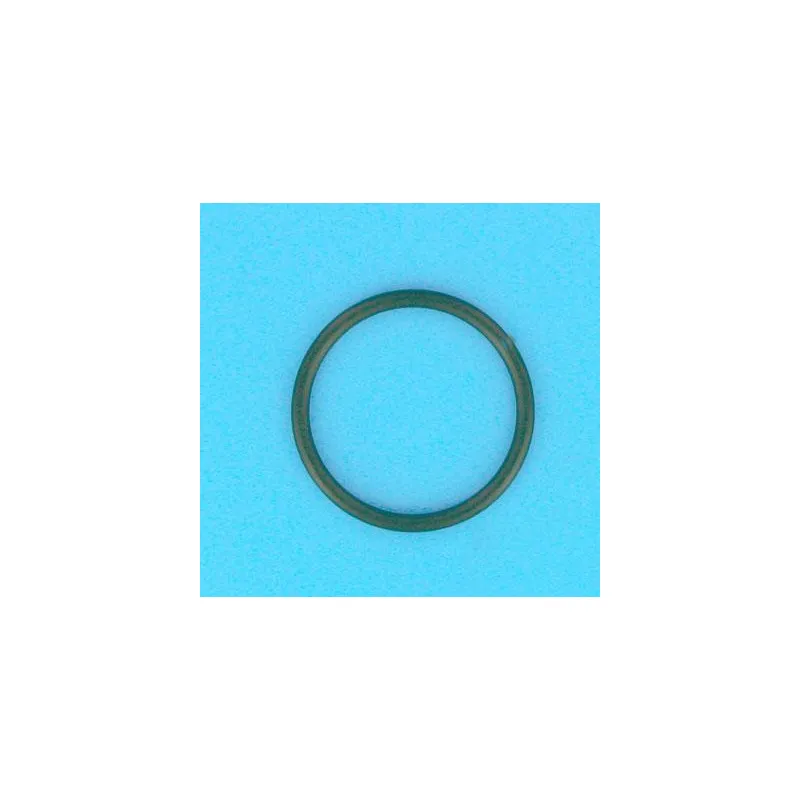 [R274494] TRITON Joint torique Ø68 mm de liaison vanne/filtre Triton, Nautilus