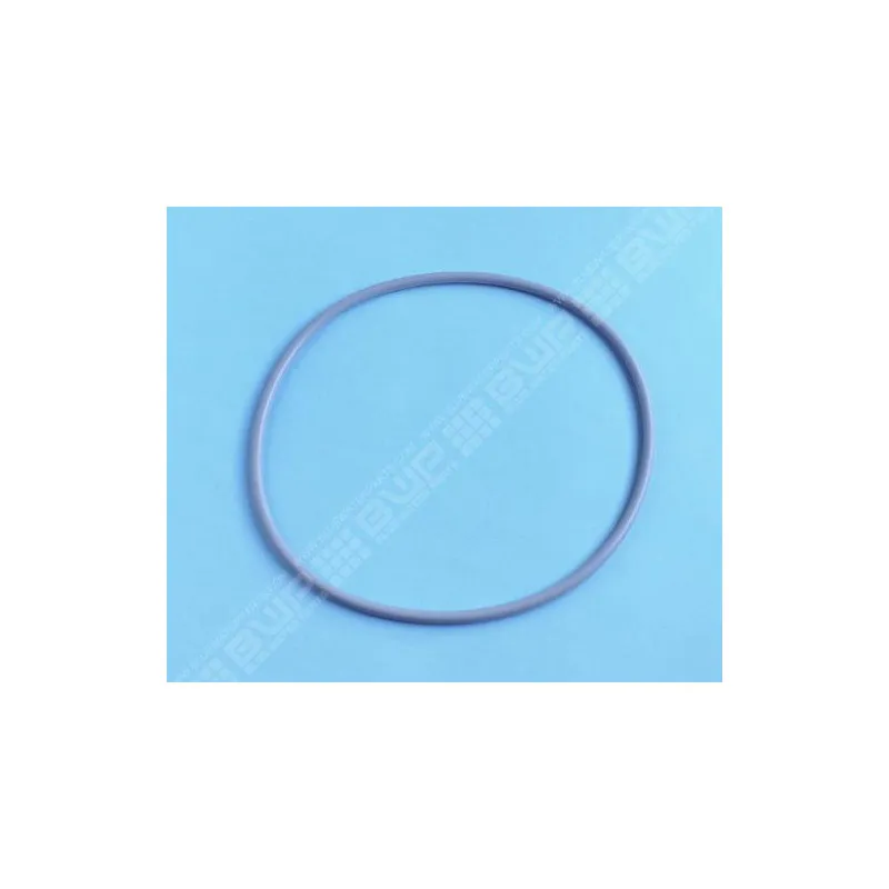 PENTAIR Joint de couvercle pour filre à sable Triton NM, Clear Pro, Tagelus 8"1/2 (210x4.6mm)