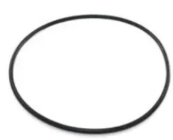 DAVEY Joint de couvercle petit volume de la pompe Silensor modèle SL MNC-101-0001 - JOIDAV32928584 - 