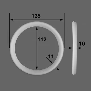 AQUAREVA Joint de corps de lampe projecteur (lot de 2)