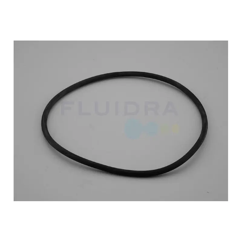 ASTRAL Joint de couvercle filtre à sable Millenium, Cantabric Ø400 à Ø750