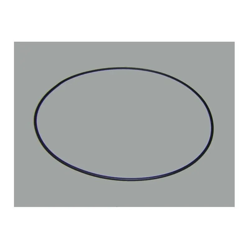 [4405010160] ASTRAL joint corps de pompe VICTORIA