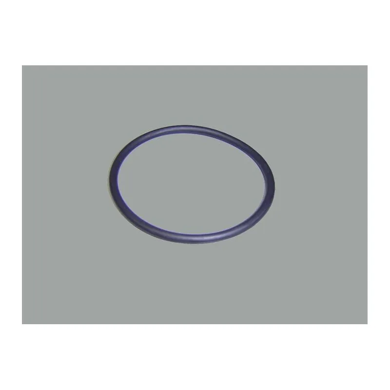 ASTRAL Joint torique diffuseur vanne D50 et 63 / pompe Victoria plus D. 56,7X3,5