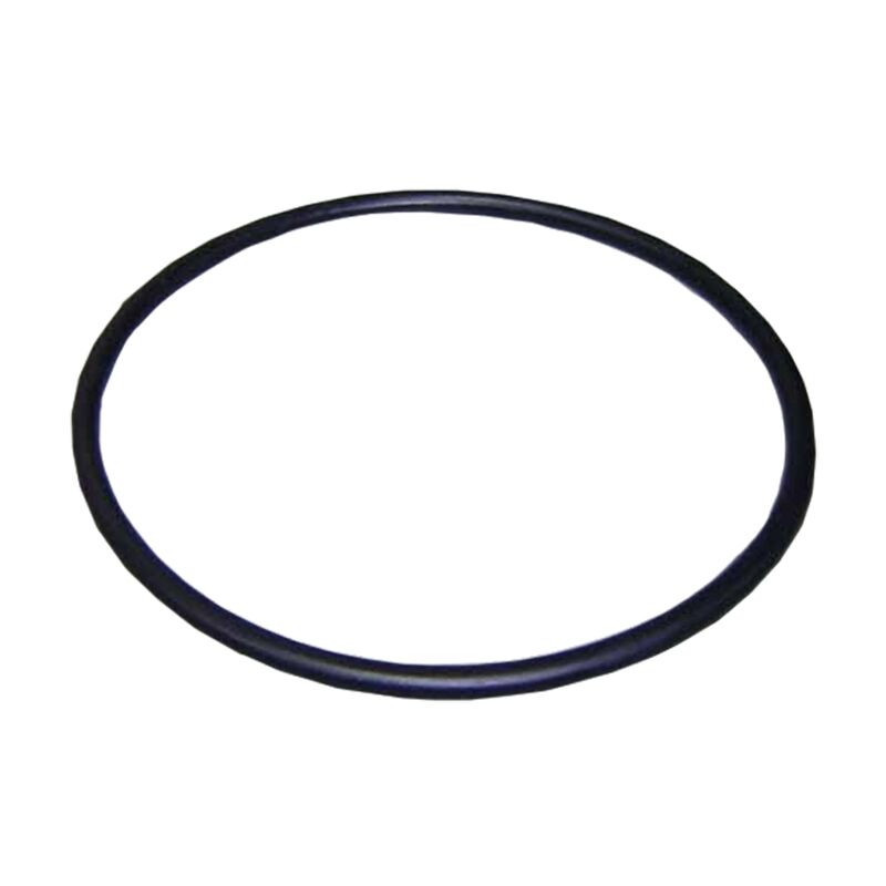 ASTRAL Joint de couvercle pompe Europa, Glass Plus, Starplus, Superplus, Malawi, Proline, Swimflo HGS D. 151,7 x 6,99 mm