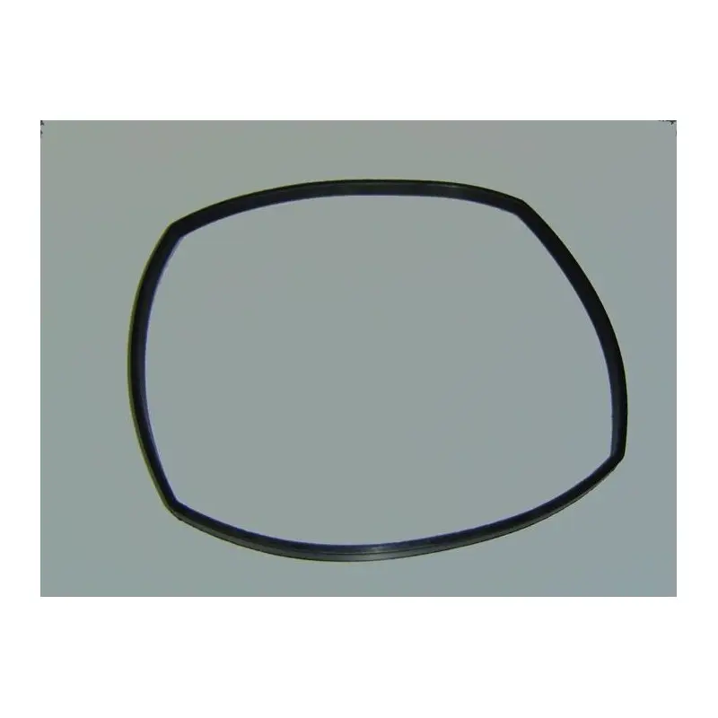 ASTRAL Joint de corps de pompe 228X5 pompe ASTRAL GLASS PLUS - 9530121104