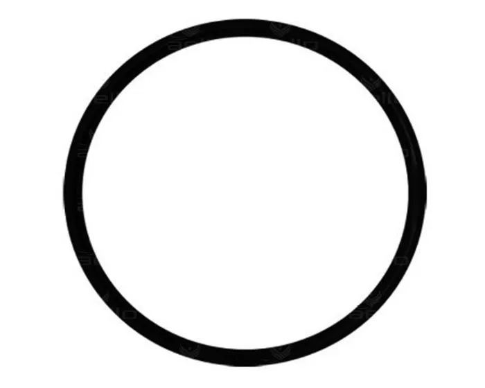 STA-RITE Joint de couvercle préfiltre 142,3x6,69 mm pour PPE 5JWP, 5P2R, S5P2R