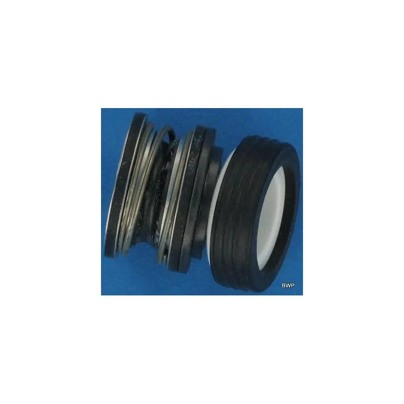 9510102513 - R173040100S - GARNITURE MECANIQUE STA-RITE P2R pour eau salée