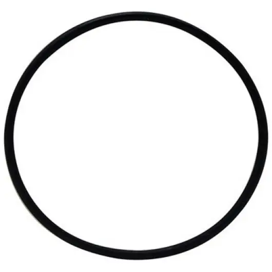 STA-RITE Joint de couvercle pompe 5P6R/SW5P6R/Intelliflo SW5P6R-VS