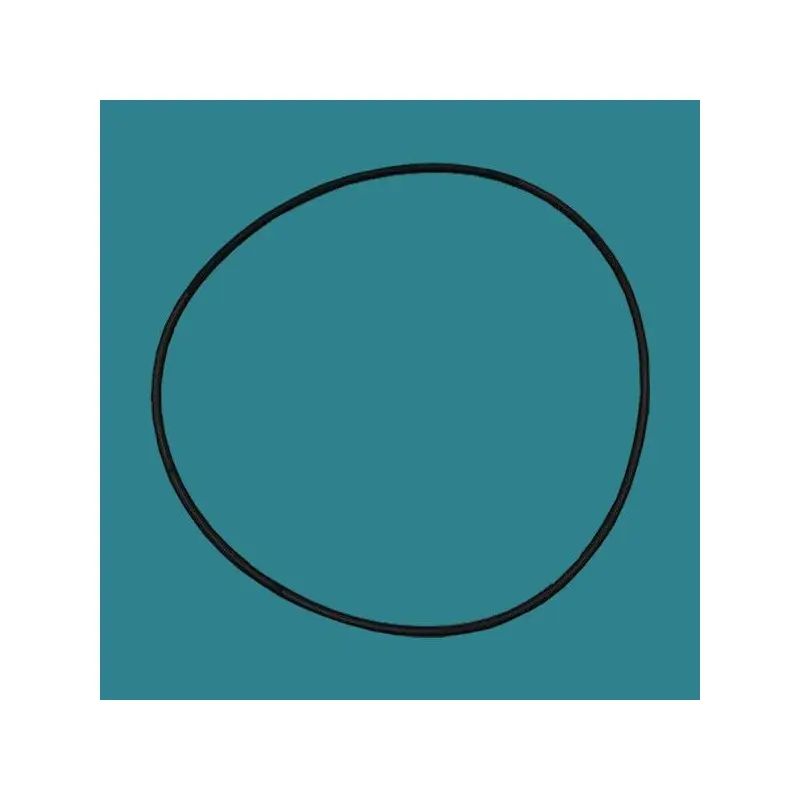 PENTAIR Joint de corps de pompe ATLAS, NOCCHI, SWIMMEY