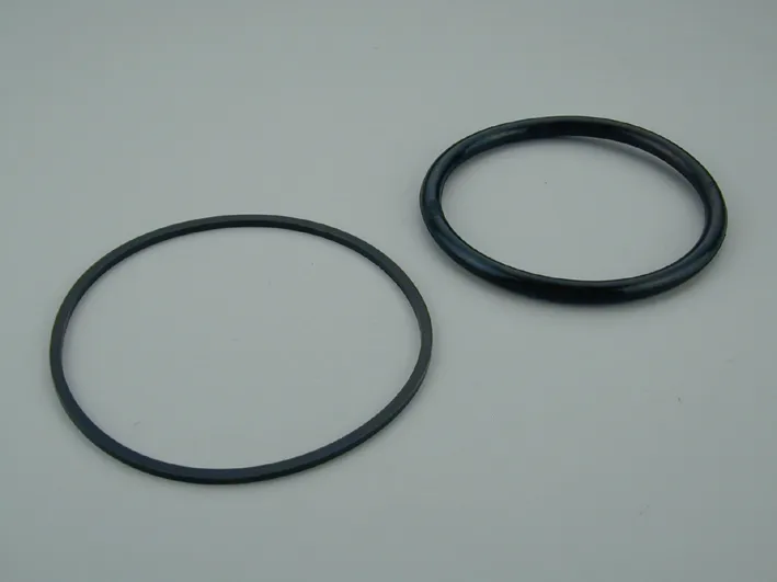 ASTRAL Joint d'ampoule (153x130) + joint de bride projecteur Ps Liner/Béton