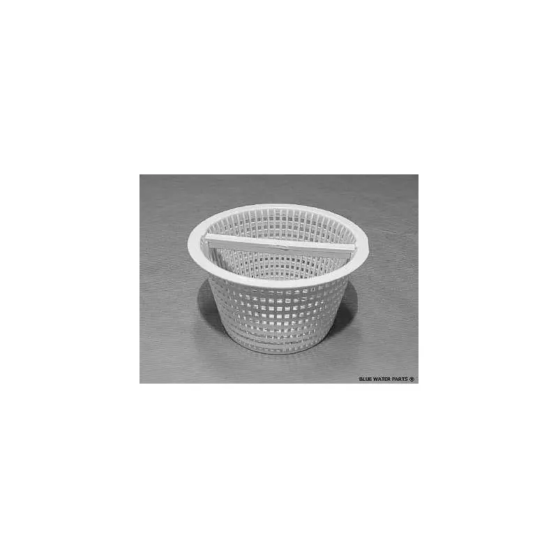 HAYWARD Panier skimmer SP1094