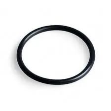 [R350013] PENTAIR Joint de couvercle PPE CHALLENGER, PINNACLE, WHISPERFLOW