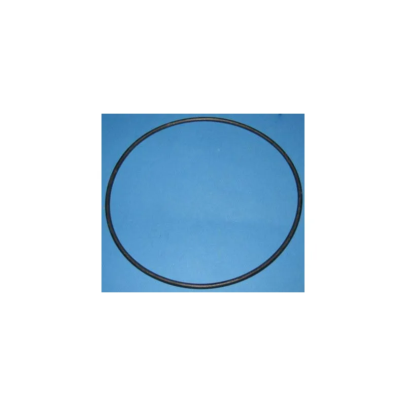 PENTAIR Joint de couvercle pompe Superflo 37.002