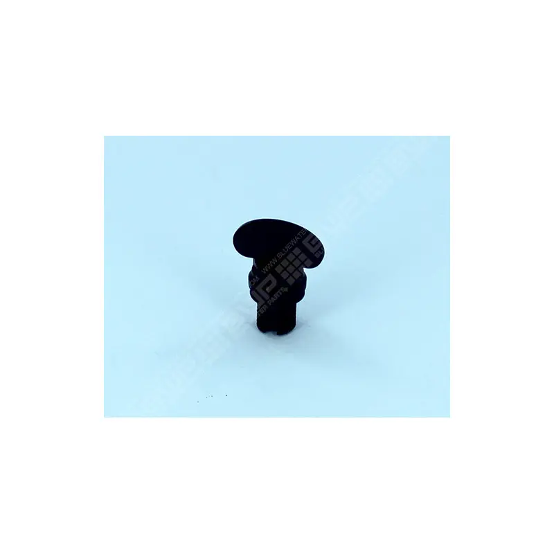 [9515102158] PENTAIR tap de purga 1/4" per tapa transparenta roscada 8"1/2 FSAB Triton