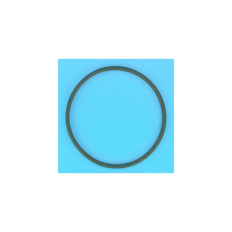 [R281008] PENTAIR Joint torique 123,2x5,8 mm de vanne 1"1/2 Top Tagelus/Azur 19" et 24"
