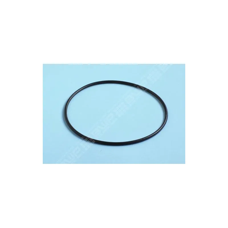 [R250001] PENTAIR Joint torique 164,5x4,8 mm pour vanne 2" (E-27-2029) TRITON Sup. /TAG