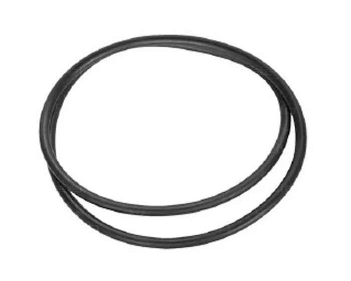 [R39010200] PENTAIR Joint de cuve filtre de Clean & Clear+, FNS+, Quad, Titan TM