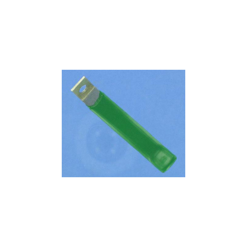 WELTICO Clip long inox d'adaptation de niches de projecteur