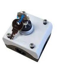 MAYTRONICS Contacteur à clés mural