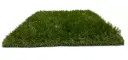 GAZON Classic 30 rouleau 2m x 25m