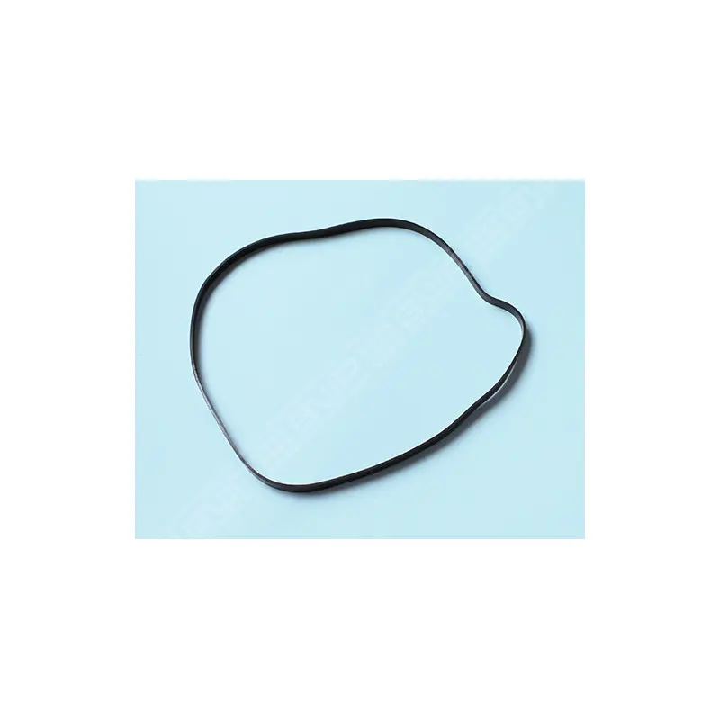 HAYWARD Joint de corps pompe Super II/Spa