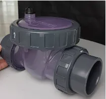 CEPEX Clapet anti retour transparent avec ressort D63