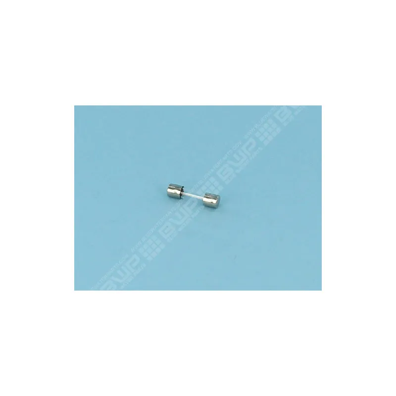 ZODIAC Fusible 500 mA T