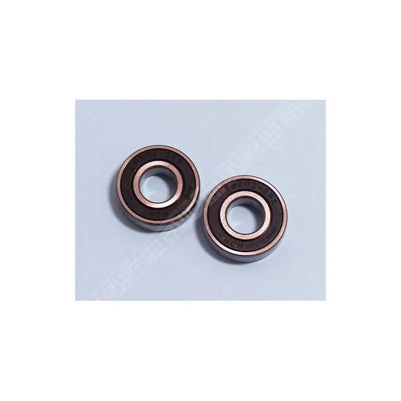 [SPX62022RS] HAYWARD Kit roulements avant/Arrière 6202 (x2) moteur RF 1 HANNING uniquement
