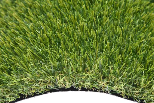 [GAZON-PREM42-2M] GAZON PREMIUM 42 rouleau 2m x 25m