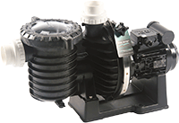 POMPE STA RITE 5P6RD3 - 3/4 CV tri - non compatible eau salée -101027103